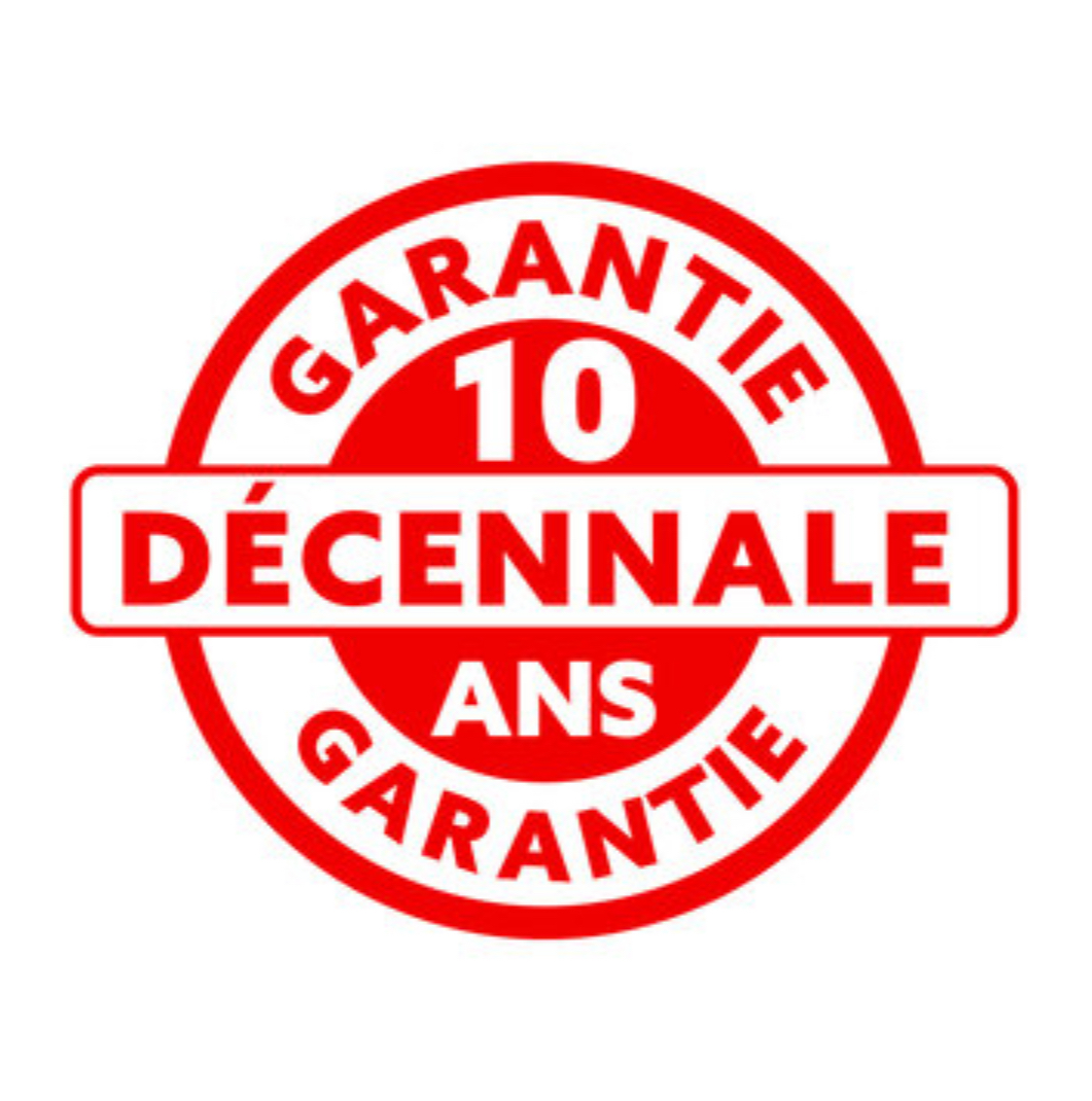 logo decennale